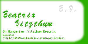 beatrix vitzthum business card